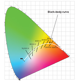 body curve types